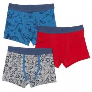 Dino Trunks 3pk