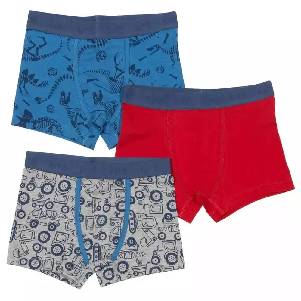 Dino Trunks 3pk