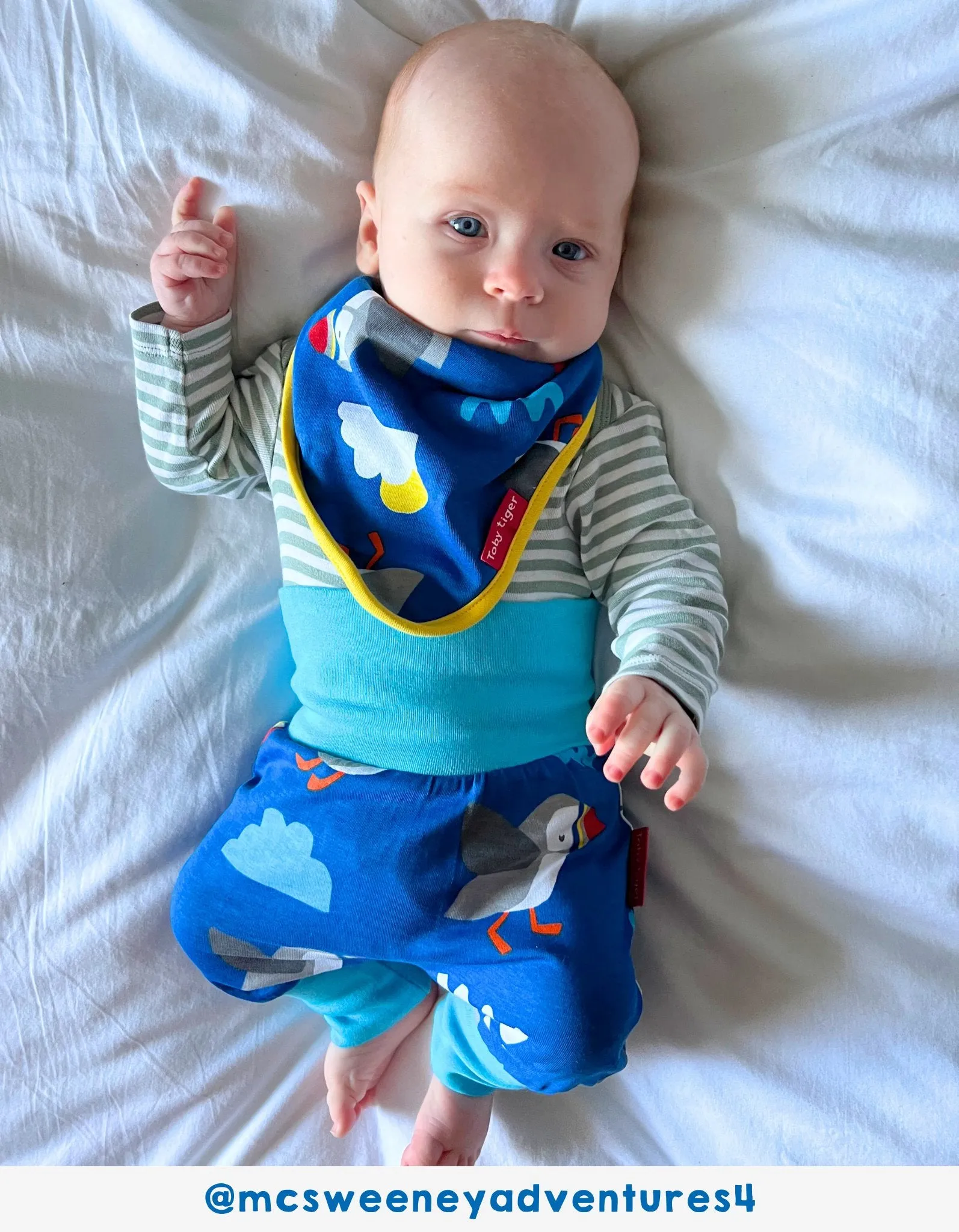 Organic Puffin Print Dribble Bib