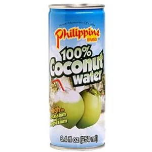 Philippine Brand 100% Coconut Water 250ml