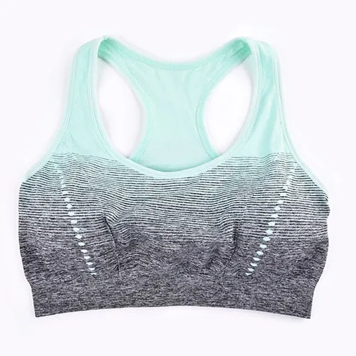 Seamless Ombre Sports Bra