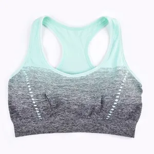 Seamless Ombre Sports Bra