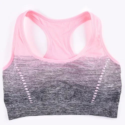 Seamless Ombre Sports Bra