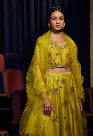 Shikha Mehta Smith Lime Asmee Kaftan Set Silk Chanderi Lime The Other Me Sm-Aw-014
