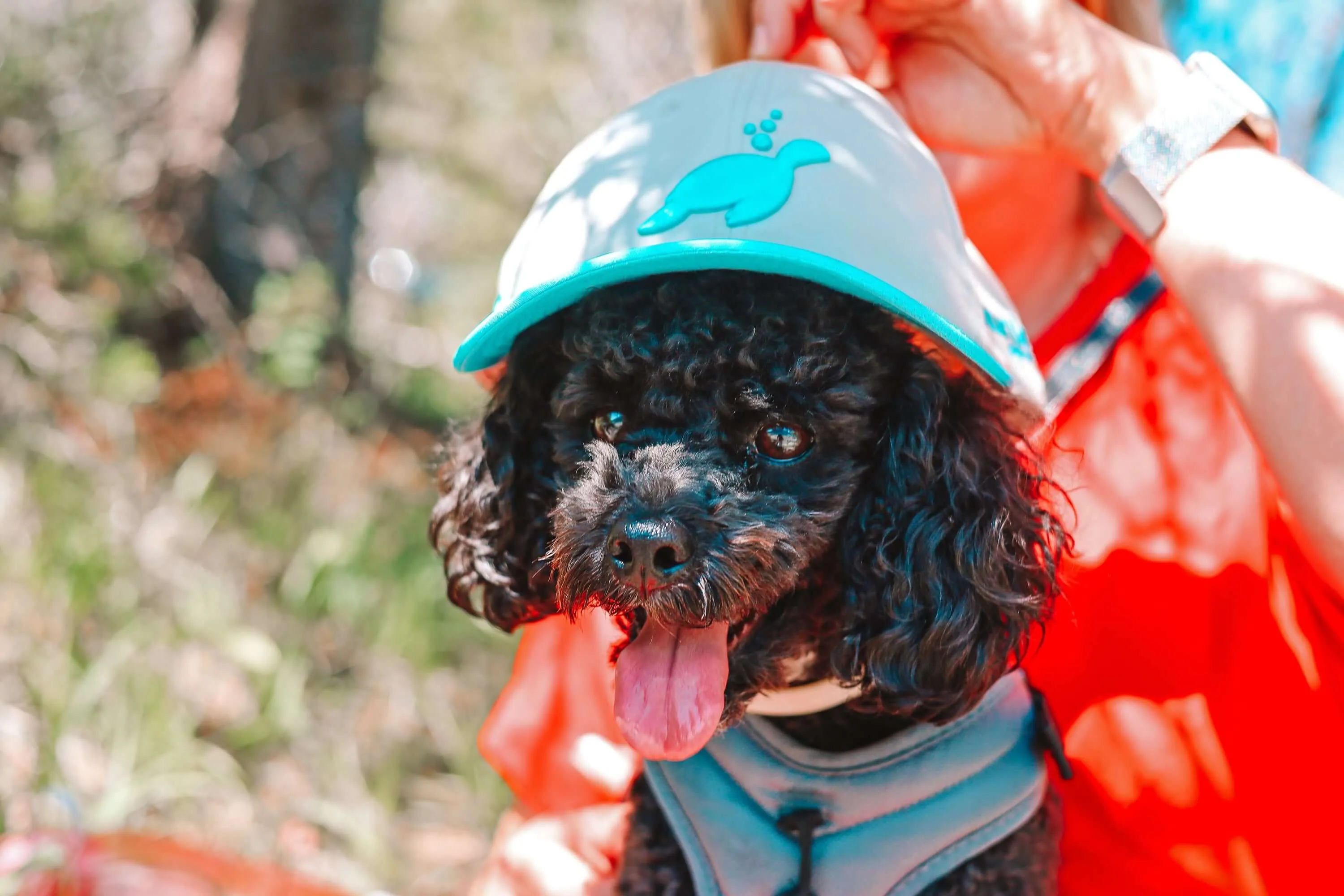 Summer Hats