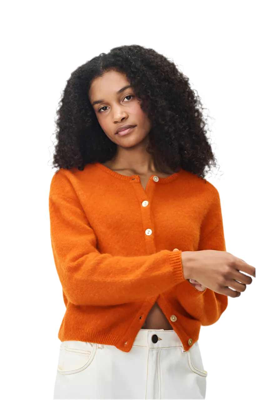 Vitow alpaca cardigan in brick mélange